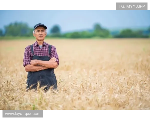 潜力评估与实际表现差距分析